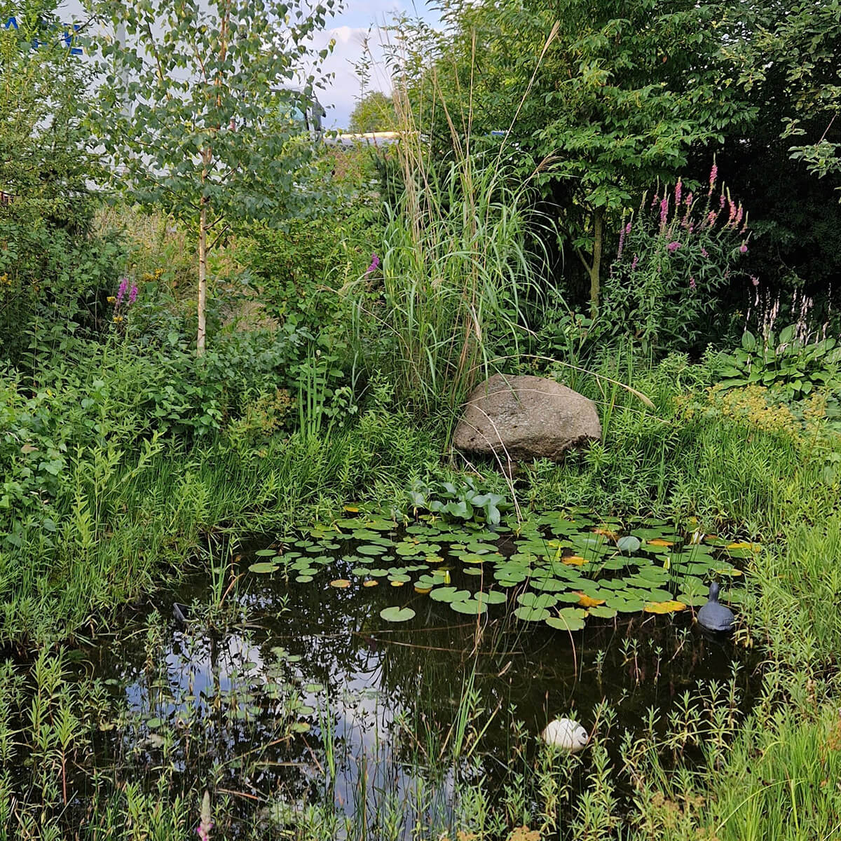 pod-gartenteich-square
